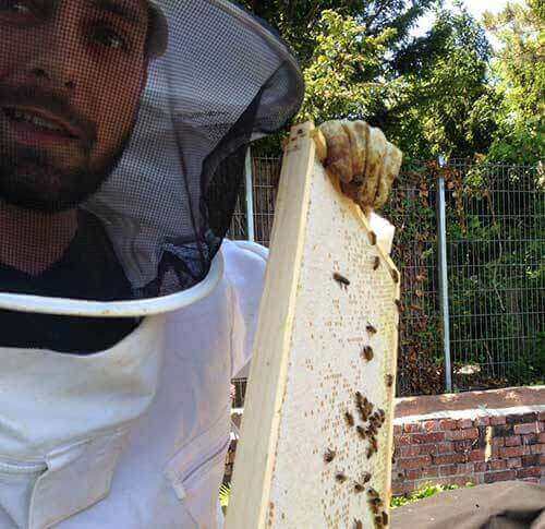 Was hilft gegen Stress - Imkern